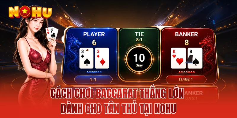 Cách Chơi Baccarat Thắng Lớn Dành Cho Tân Thủ Tại NOHU